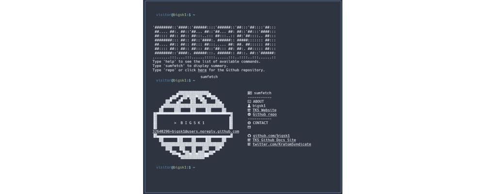 Your own terminal style website business card