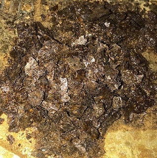 Freeze Dried Kratom Extract